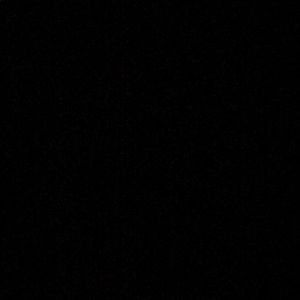 Meet your Posher, Dominique